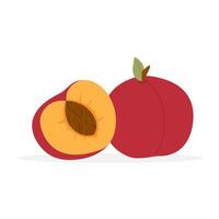 Nectarine fruit. Tropical fruit whole and half sliced. Ripe red nectarine or peach. illustration in flat style. vector