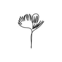 flor planta mínimo diseño mano dibujado uno línea estilo dibujo, flor planta uno línea Arte continuo dibujo, flor planta soltero línea Arte vector