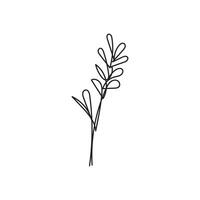 flower plant minimal design hand drawn one line style drawing, flower plant one line art continuous drawing, flower plant single line art vector