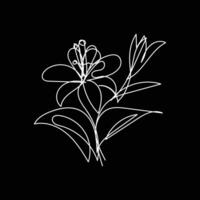 Abstract Flower Lily one line art drawing singular aesthetic minimalist , one line art, line art, icon, logo vector