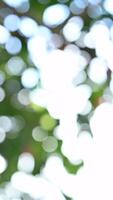 une floue image de une arbre avec vert feuilles et blanc des nuages. le image a une rêveur, éthéré qualité à il, comme si il étaient capturé dans une moment de immobilité video