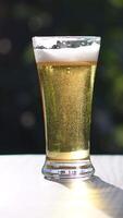 un alto vaso de cerveza es sentado en un mesa. el vaso es casi lleno, con espuma en cima. concepto de relajación y disfrute, como el cerveza es un popular bebida para relajarse y socializando video