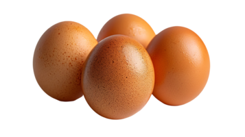 saboroso frango ovos em uma transparente fundo png