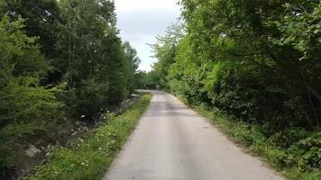 Narrow and lonely road surrounded by a forest 4k background video