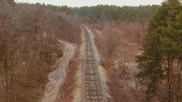 järnväg Spår i de mitten av en skog 4k bakgrund video