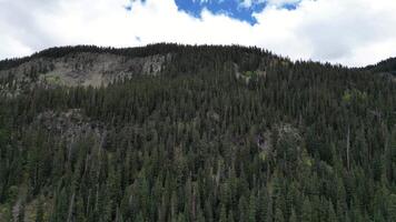 majestueus berg vallei met rivier- in Zilverton, Colorado video