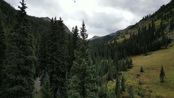 maestoso montagna valle con fiume nel Silverton, Colorado video