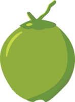 Noce di cocco frutta per grafico disegno, logo, ragnatela luogo, sociale media, mobile app, ui illustrazione png