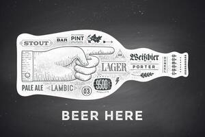 Poster bottle of beer with hand drawn lettering vector