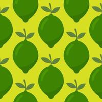 Lime seamless pattern. Fruit background. vector