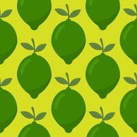 Lime seamless pattern. Fruit background. vector