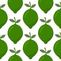 Lime seamless pattern. Fruit background. vector