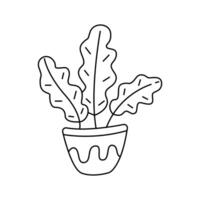 Houseplant in doodle style. illustration vector