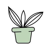 Plant in the pot. illustration in doodle style. vector