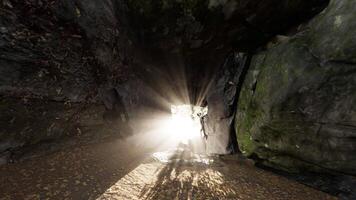 luz do sol na caverna video