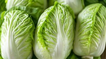Fresh green Chinese cabbage Napa cabbage close up, ideal for healthy eating, vegetarian recipes, and Asian cuisine related concepts photo