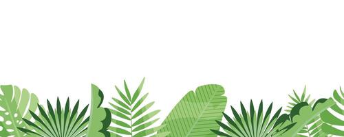 horizontal seamless border with green tropical leaves on a white background. vector