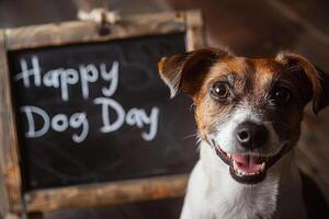 Dog sitting close to a chalkboard sign saying Happy Dog Day, cute and communicative photo
