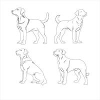 Hand drawn Labrador Retriever dog outline illustration vector