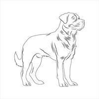 mano dibujado perro contorno ilustración vector