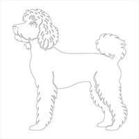 Hand drawn dog outline illustration vector