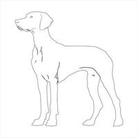 Hand drawn dog outline illustration vector