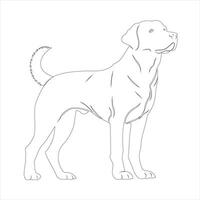 mano dibujado Labrador perdiguero perro contorno ilustración vector