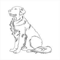 Hand drawn Golden Retriever dog outline illustration vector