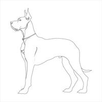 Hand drawn Great Dane dog outline illustration vector