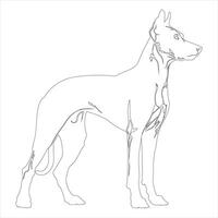 Hand drawn dog outline illustration vector