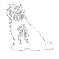 Hand drawn Havanese dog outline illustration vector