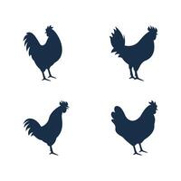 Rooster icon template design vector