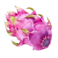 A Taste of Paradise Indulging in the Unique Sweetness of Dragonfruit png