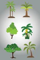 Collection of cartoon Trees Isolated on White Background. Collection of tree illustrations. Can be used to illustrate any nature or healthy lifestyle topic. vector