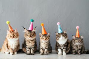 Lineup of cats wearing party hats at a Cat Day celebration, humorous and adorable scene photo