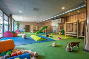 Interactive play area in a dog hotel with agility equipment and cognitive games, focused on fun and education photo