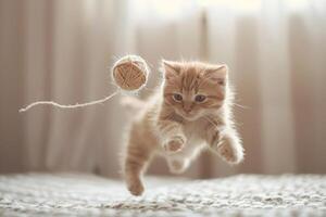 juguetón gatito saltando con un pelota de hilo, medio acción disparo, celebrando internacional gato día foto