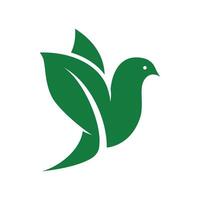 green leaf bird logo vector