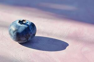 Single blueberry casting a long shadow in morning light, minimalist composition photo