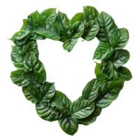 l'amour forme Cadre décoration avec vert feuille modèle, généré ai png