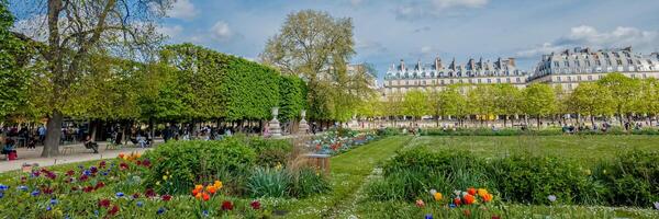 Scenic view of a bustling public park in spring with lush greenery and colorful tulips against Parisian architecture, perfect for Earth Day and city travel themes photo