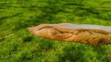 Golden crispy baguette floating against a lush green lawn background, evoking concepts of French cuisine and picnics in summertime photo