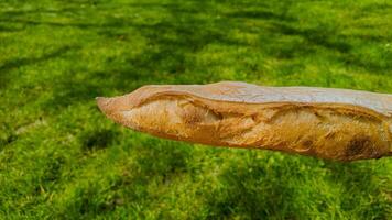 Golden crispy baguette floating against a lush green lawn background, evoking concepts of French cuisine and picnics in summertime photo