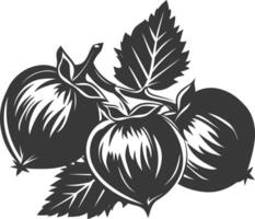 Silhouette Hazelnut fruit black color only vector