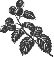 Silhouette Hazelnut fruit black color only vector