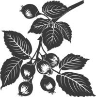 Silhouette Hazelnut fruit black color only vector