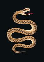Illustration of high detailed viper with open mouth vector