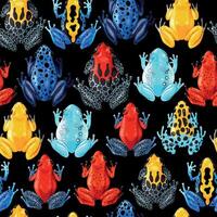 Seamless pattern with vivid tropical frogs on black background vector