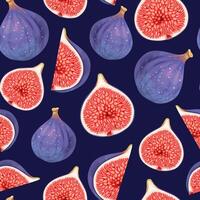 Seamless pattern with high detailed figs, sliced and whole vector