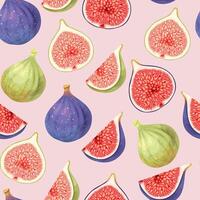 Seamless pattern with high detailed green and ripe figs vector